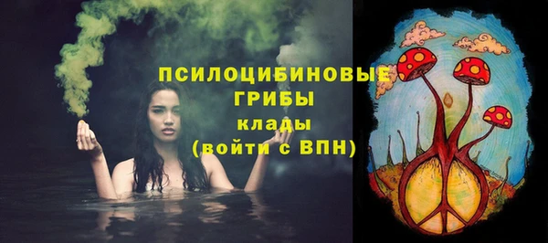 дурь Коряжма