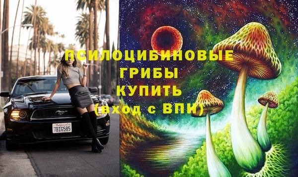 крисы Краснослободск